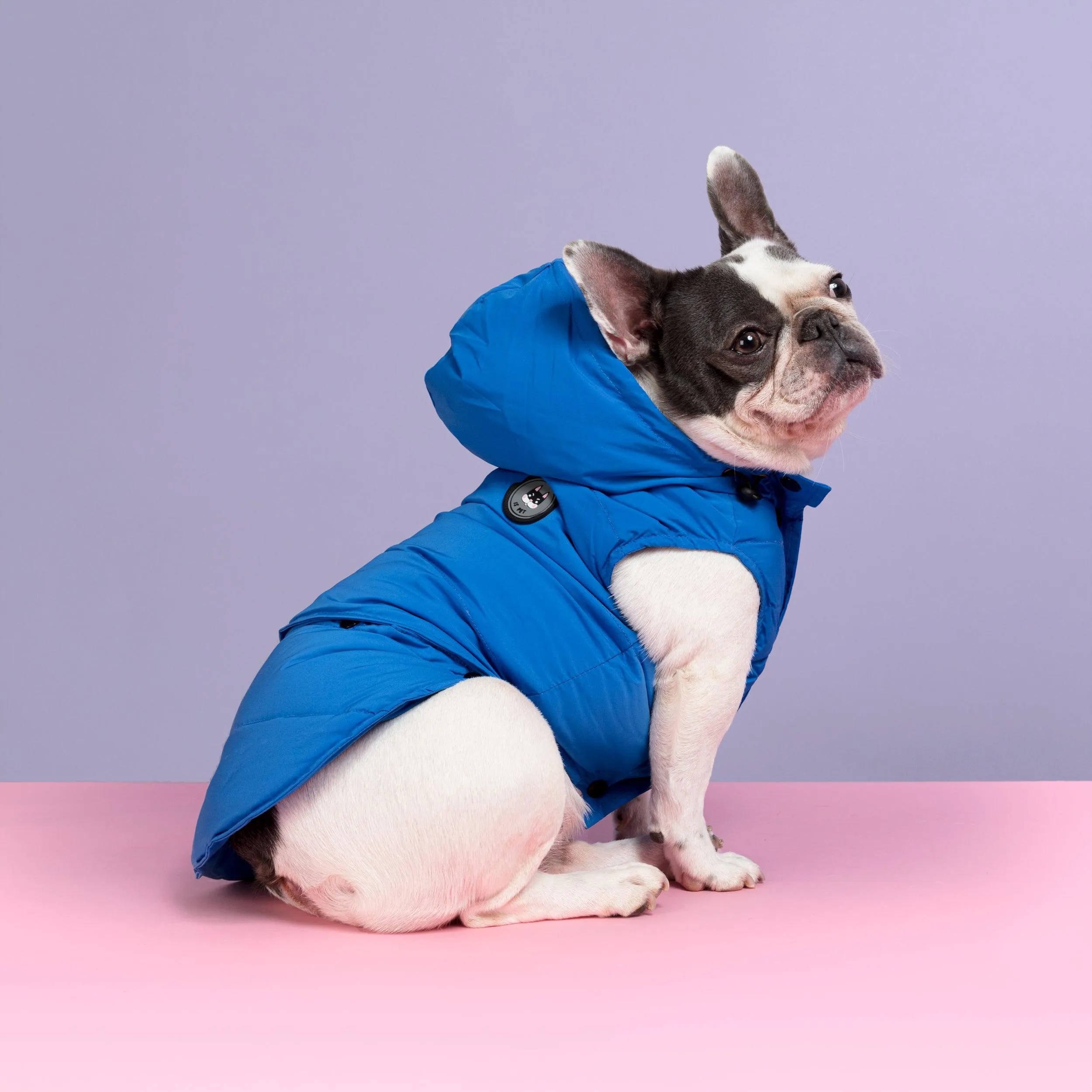 Supreme Puffer Dog Jacket Vest