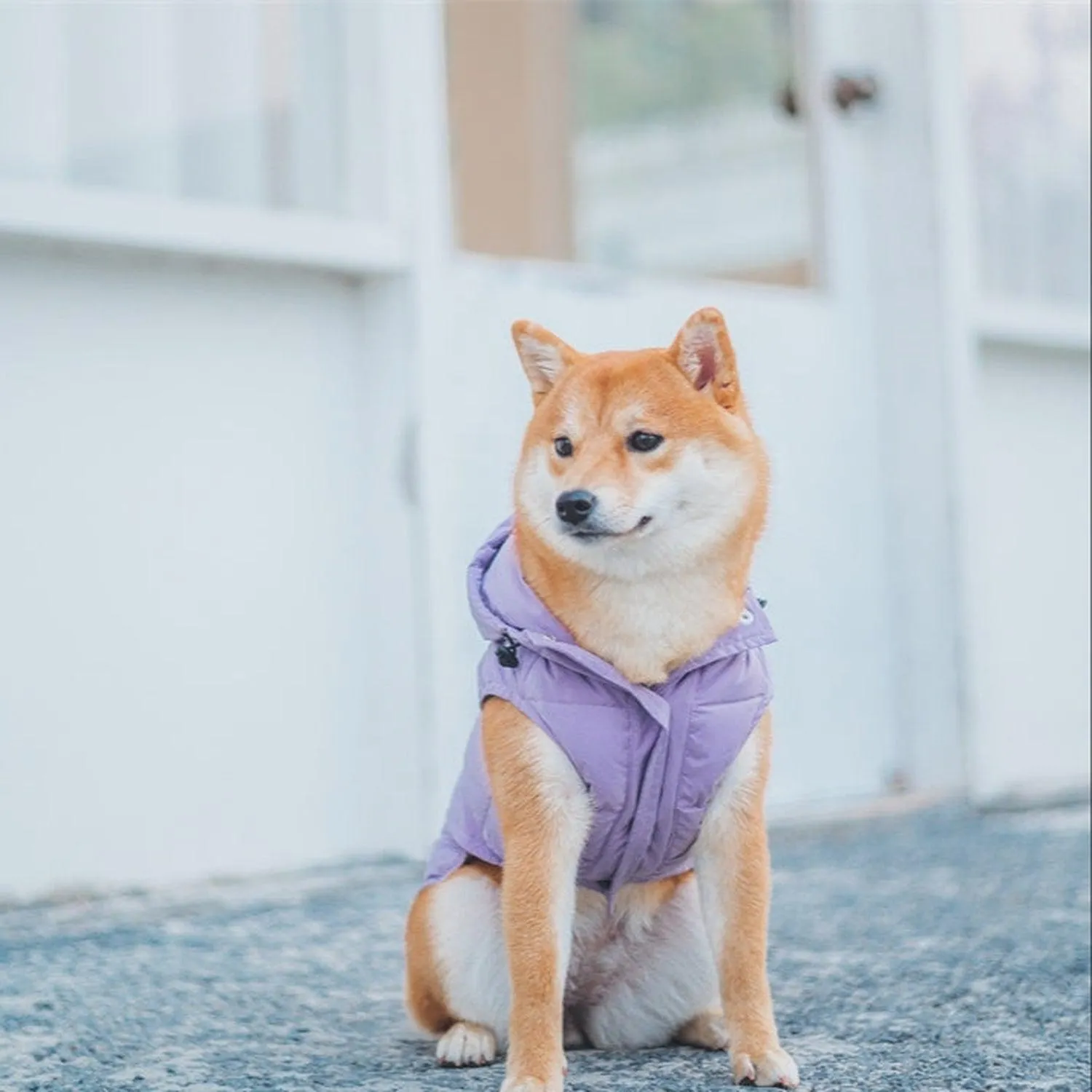Supreme Puffer Dog Jacket Vest
