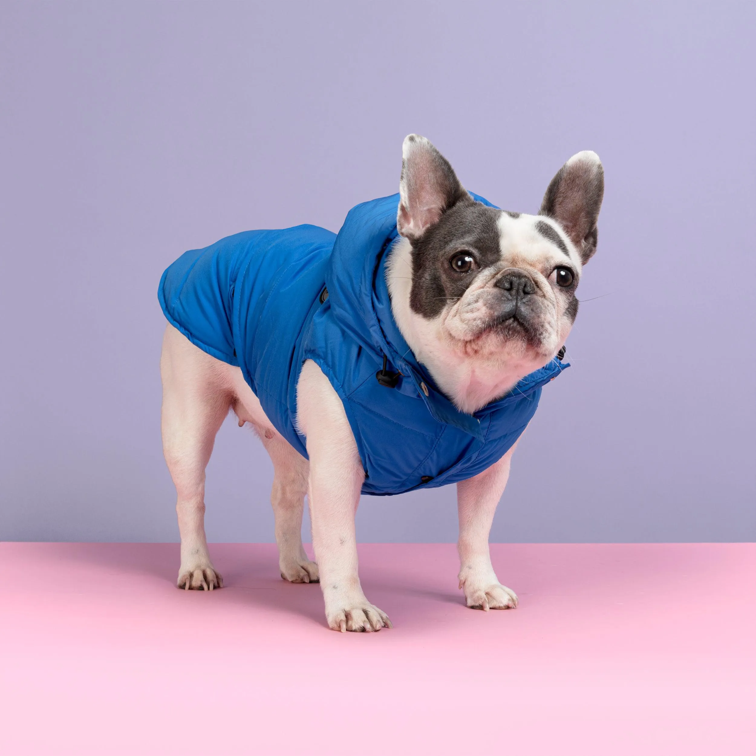 Supreme Puffer Dog Jacket Vest