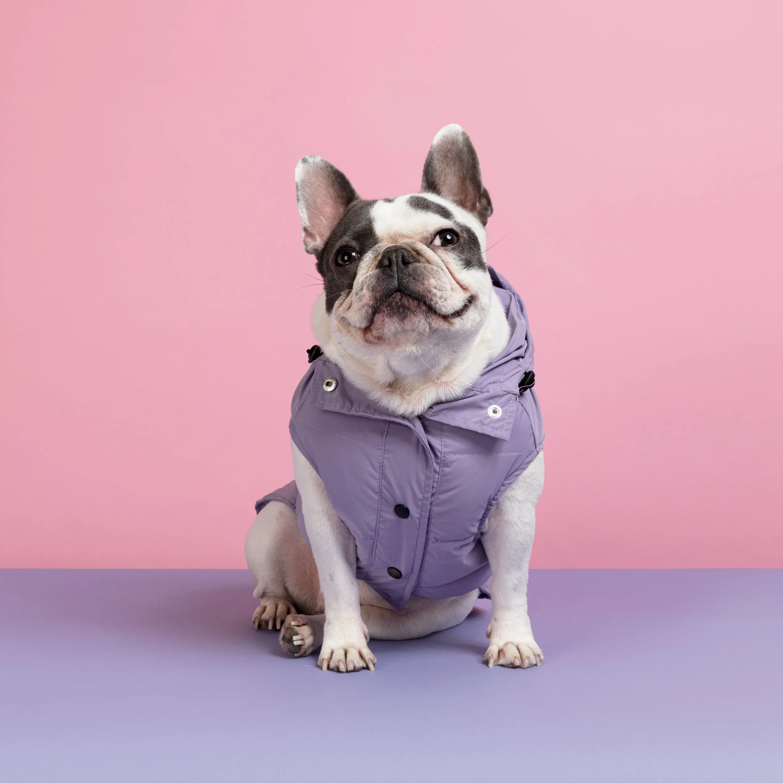 Supreme Puffer Dog Jacket Vest