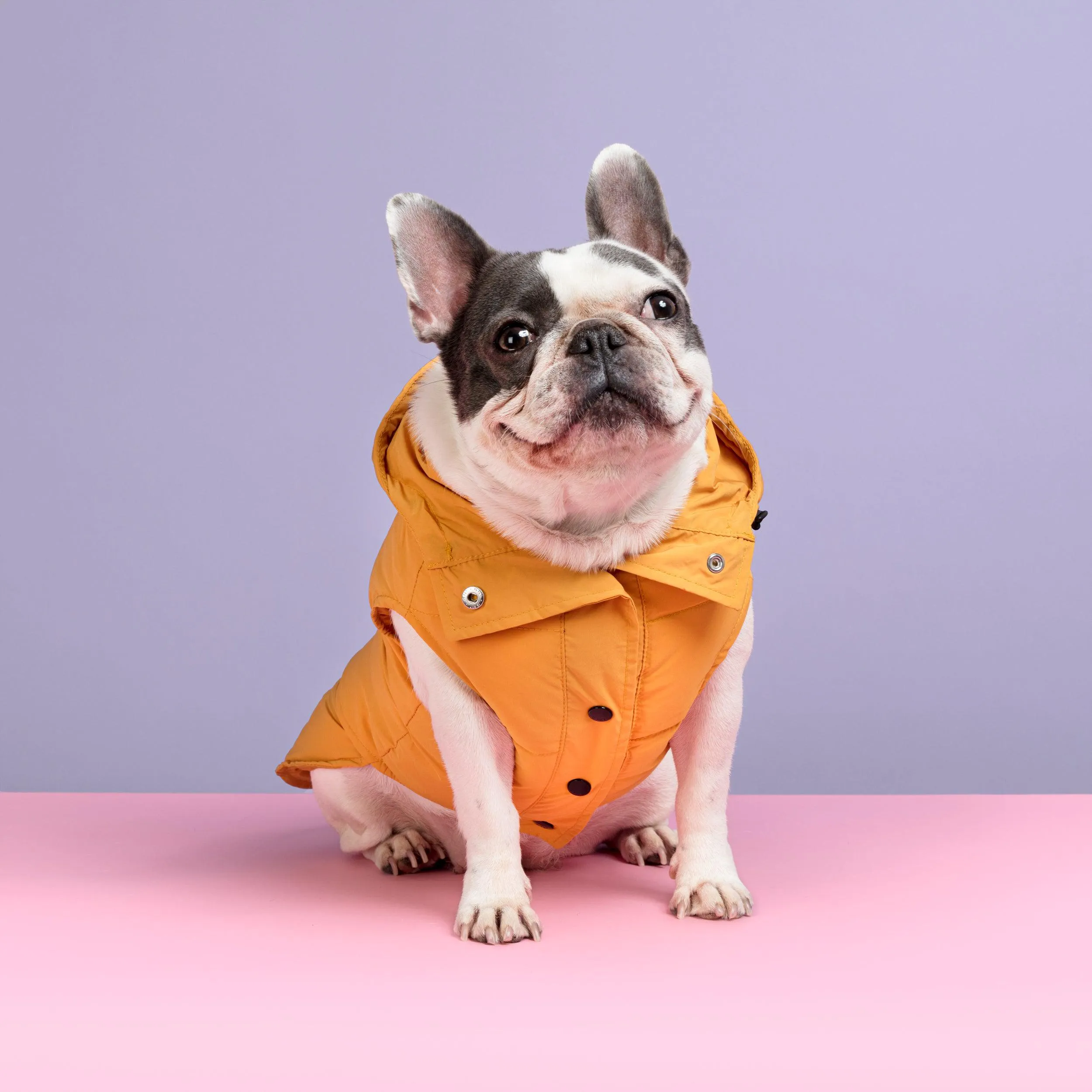 Supreme Puffer Dog Jacket Vest