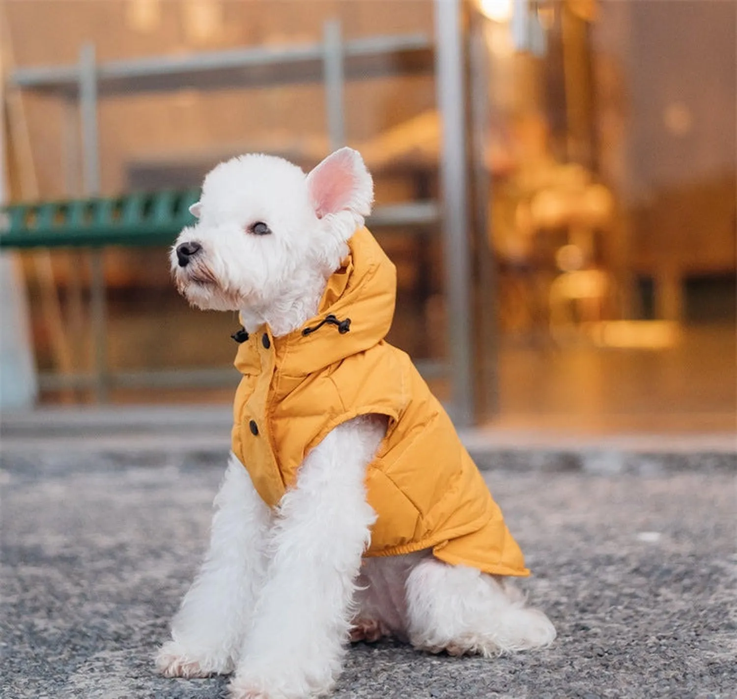 Supreme Puffer Dog Jacket Vest