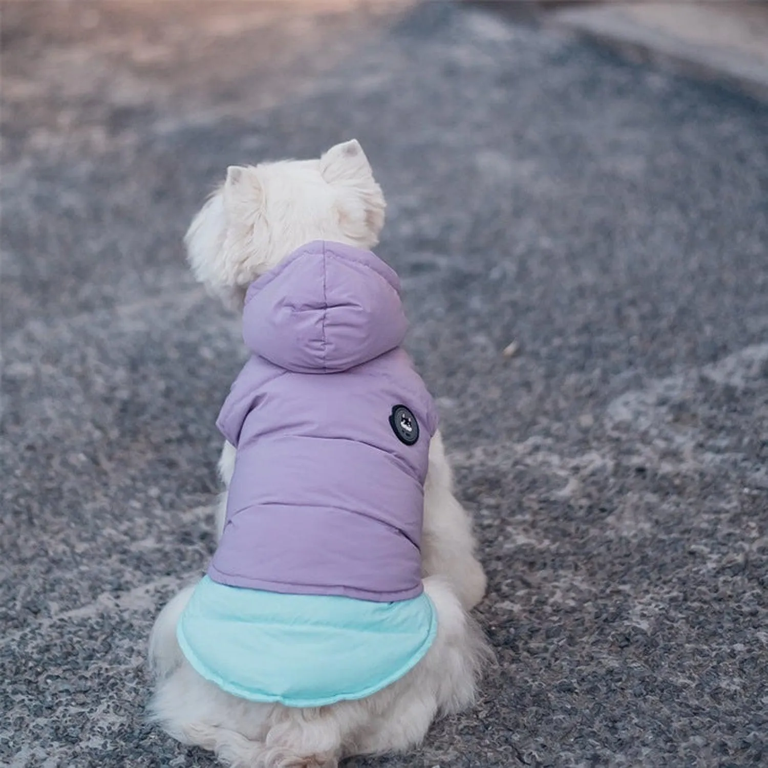 Supreme Puffer Dog Jacket Vest