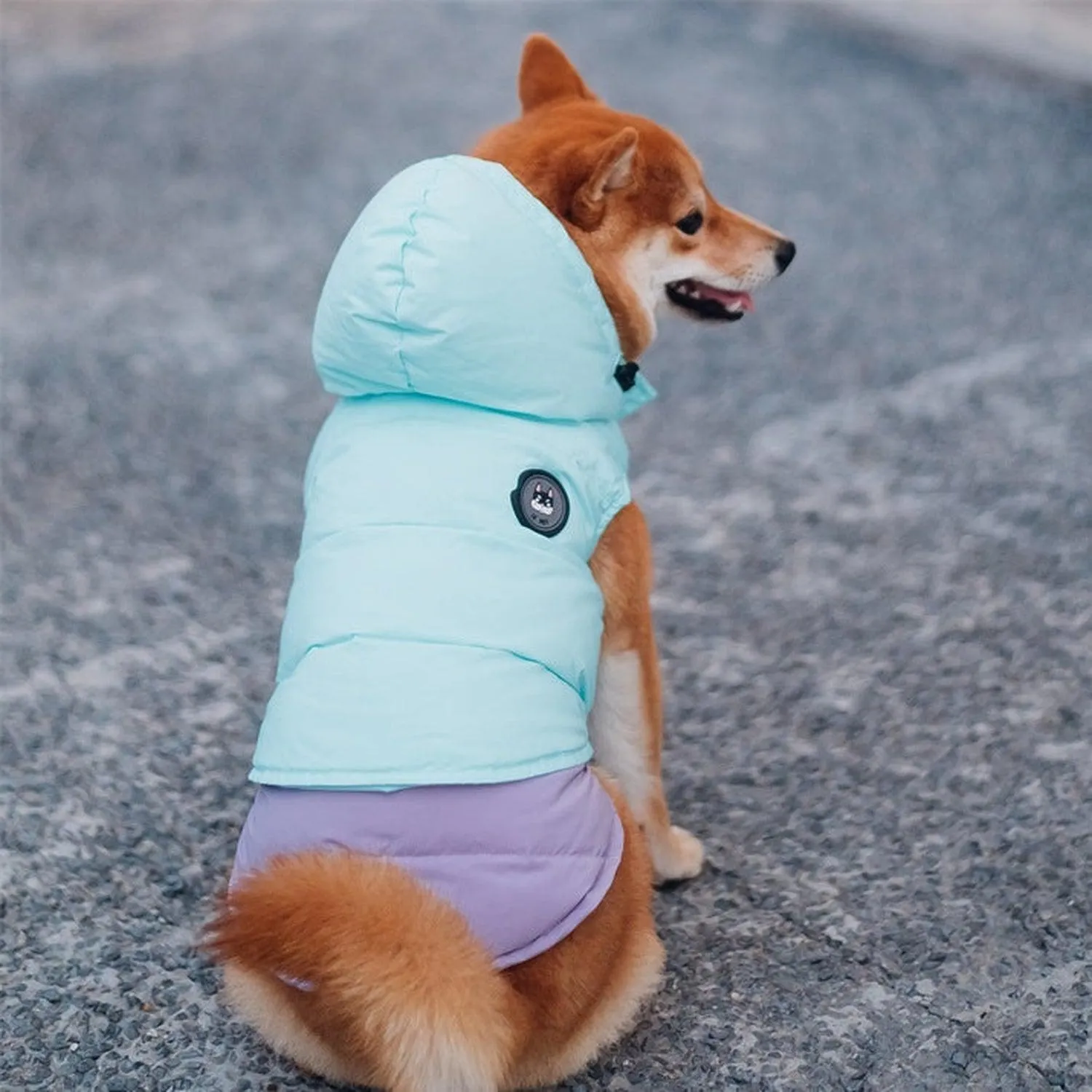 Supreme Puffer Dog Jacket Vest