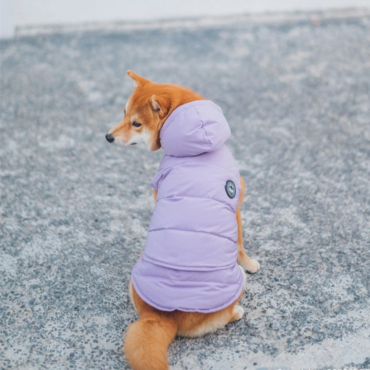 Supreme Puffer Dog Jacket Vest