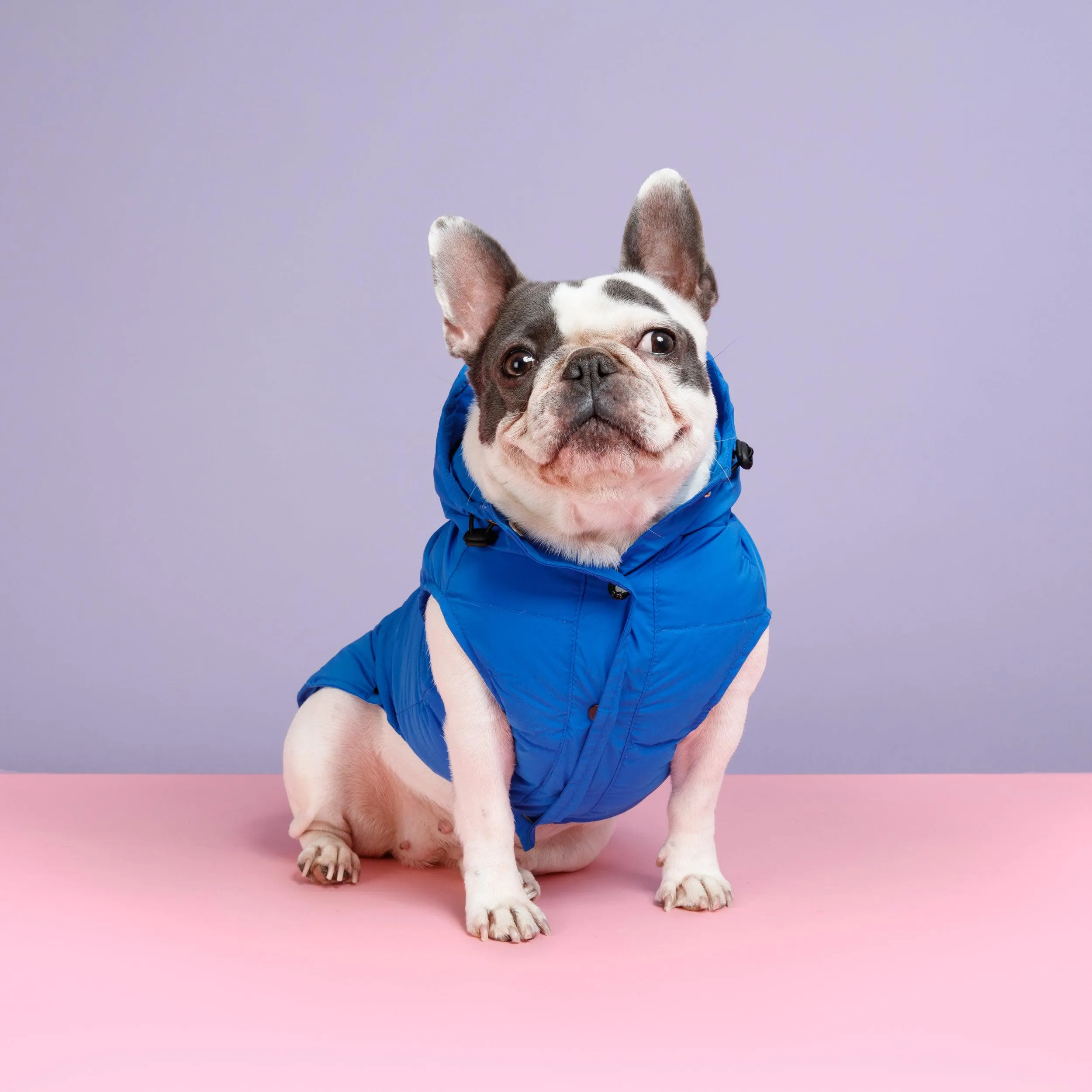 Supreme Puffer Dog Jacket Vest