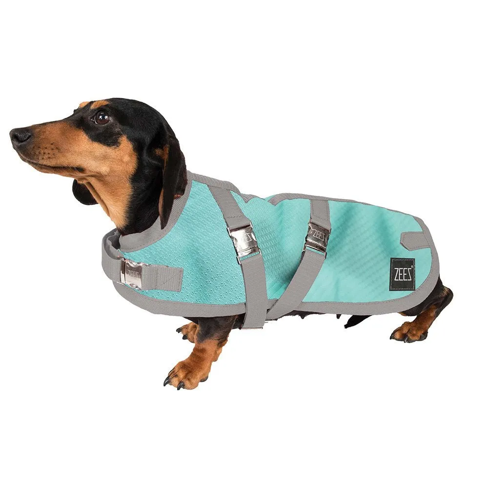 ZEEZ DACH MINT 43CM